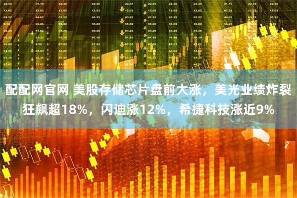 配配网官网 美股存储芯片盘前大涨，美光业绩炸裂狂飙超18%，闪迪涨12%，希捷科技涨近9%